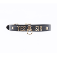 YES SIR FAUX LEATHER COLLAR COL074GLD